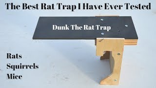 The All Time Best Rat Trap I Have Ever Tested Dunk The Rat Trap In Action [upl. by Gable]