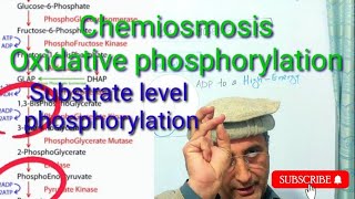 Chemiosmosis Substrate level and Oxidative phosphorylation ETC [upl. by Pitzer]