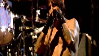 Red Hot Chili Peppers  Give It Away  Live at Slane Castle HD [upl. by Kendal206]