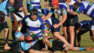 U 12 Quins VS Bulldogs [upl. by Uzial]