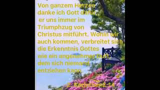 Schlecht gelaunte Christen verstehen Gott NICHT [upl. by Eiramoj]