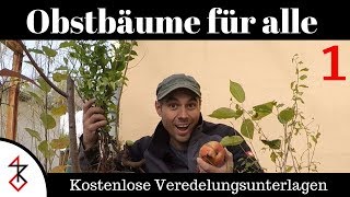 Veredelungsunterlagen  Obstbäume für alle Teil 1 [upl. by Froh]