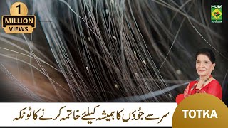 Zubaida Apa Totkay  Sar Ki Juen Khatam Karne Ka Tarika  Head Lice Removal  MasalaTv [upl. by Gerta]