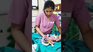 preterm baby k liye jaruri h nesty🐥🤗👶💉nicucare👶 newbornbaby viralshort 👍baby babylove babylo [upl. by Ahsiki]