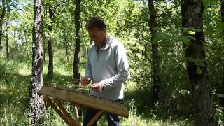 Univers citharion hammered dulcimer psaltérion [upl. by Ozzie]