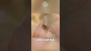 CHIP NA MÃO É SINISTRO interessante curiosidade curiosidades [upl. by Ordnaxela]