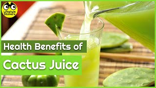 Health Benefits of Cactus Juice [upl. by Helman]