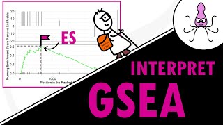 How to interpret GSEA results and plot  simple explanation of ES NES leading edge and more [upl. by Jamison752]