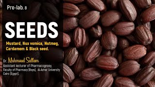 Pharmacognosy 1 Seeds Black mustard White mustard Nuxvomica Nutmeg Cardamom and Black seed [upl. by Widera]