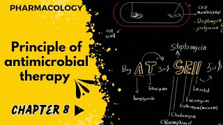 فارما  جابتر 8  شرح مهم متطور لفهم المضادات الحيوية  principle of antimicrobial therapy [upl. by Ramirolg]