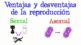 🌿Ventajas y desventajas de la reproducción sexual y asexual🐝 Fácil y Rápido  BIOLOGÍA [upl. by Kus]