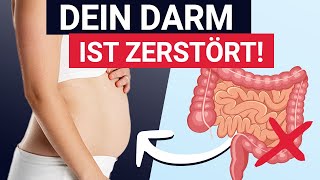 Diese 5 Symptome zeigen dass deine Darmflora zerstört ist [upl. by Nyrroc886]