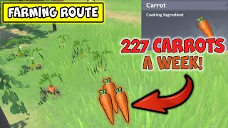 Carrot Farming Route  227 CARROTS A WEEK   GENSHIN IMPACT  原神 [upl. by Barna]