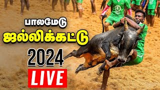 🔴பாலமேடு ஜல்லிக்கட்டு நேரலை  Jallikattu Live 2024  Palamedu [upl. by Ettigdirb]