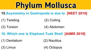 Phylum Mollusca mcq for NEET in Urdu Hindi [upl. by Assenar392]