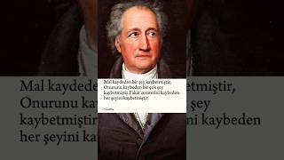 Goethe İnsan nasıl her şeyini kaybederfelsefe [upl. by Aihtnys]