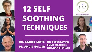 12 Self Soothing and Self Regulation Techniques for Trauma Stress and Anxiety intro Dr GABOR Mate [upl. by Ahsatniuq778]