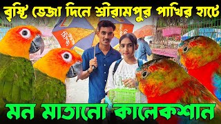 শ্রীরামপুর পেট মার্কেট। আকর্ষণীয় পাখি TarquinLove Bird BabyJandaya Parakeet। Serampore Pet Market। [upl. by Nacnud481]