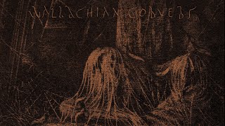 Wallachian Cobwebs  Night Sobbed a Potion Diseased Full Album [upl. by Cormick]