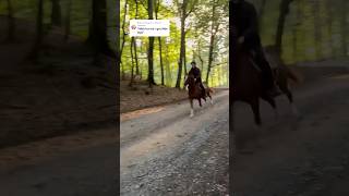 Wait for me I got little legs 🤣 horse horses pony rider riding equestrian pferde funny [upl. by Ruscher]