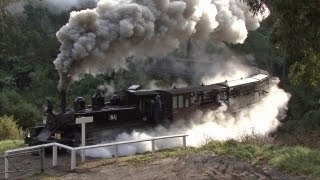 Steam Trains in the Hills  Puffing Billy Railway Australian Trains [upl. by Gladine249]