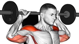 The Best Shoulder Exercises BarbellDumbbell Only [upl. by Nosredneh]