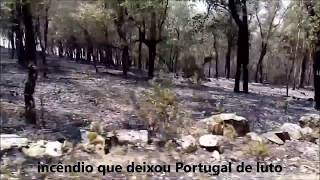 Incêndio de Pedrogão Grande deixou Portugal de luto [upl. by Niven578]