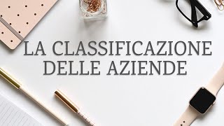 La Classificazione delle Aziende ed il loro Processo Produttivo  Economia Aziendale per tutti [upl. by Rostand]