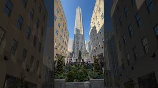 When the Rockefeller Center tree arrives the holiday season in NYC is about to begin 🌲🗽☃️ [upl. by Hullda670]