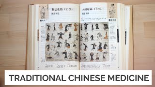 Traditional Chinese Medicine For Beginners [upl. by Rodenhouse]