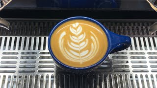 Speciality Coffee Training  Barista art skills  Coffee Latte Art Tutorial Tulip latte art [upl. by Kidd751]