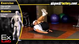 Reverse Crunch  Best Lower Ab Exercises [upl. by Enirolf734]