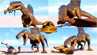 Hybrid Spinoraptor MOD Hunting Animations vs All Dinosaurs in Jurassic World Evolution [upl. by Auot168]