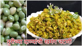 ओल्या तुरीच्या दाण्यांची खमंग चटणी  Turichya danyachi chatani  Whole Peagon Peas Recipe [upl. by Ratib]