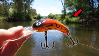 This Simple Lure Never Fails [upl. by Nowed54]