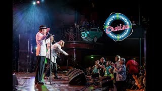 50s and 60s Legends Perform LIVE on the Malt Shop Memories Cruise [upl. by Gretal]