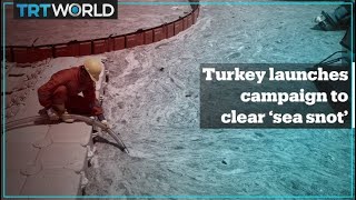 Turkey launches campaign to clear Marmara Sea from sea snot [upl. by Ylrad]