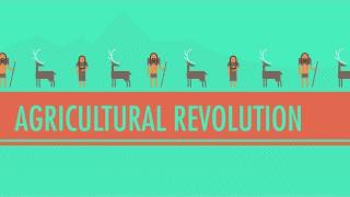 The Agricultural Revolution Crash Course World History 1 [upl. by Laroy]