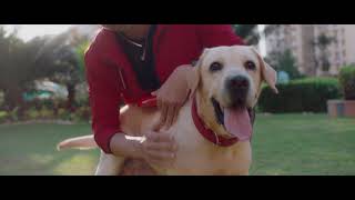 Unleash Their Super  Purina Supercoat film [upl. by Bodrogi462]