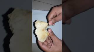 Temporal bone Part1Bangla tutorial [upl. by Niamert]