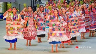 Espectacular Baile FLOR DE PIÑA  Guelaguetza 2019 [upl. by Susann]