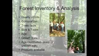 Understanding Silviculture [upl. by Apgar839]