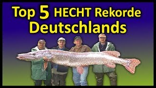 Top 5 Rekord HECHTE Deutschlands  146 Meter Hecht [upl. by Carma]