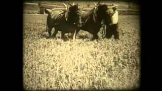 Landwirtschaft gestern Ackerbau in der Schweiz um 1936 [upl. by Nrubyar517]