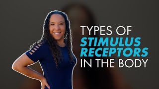 What are the Different Types of Stimulus Receptors in the Body [upl. by Sand]