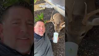 Man saves a deer stuck in the mud and then deer babydeer shorts [upl. by Beaner]