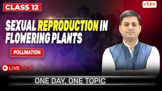 Pollination  Sexual Reproduction in Flowering Plants  class 12  Biology  One Day One Topic [upl. by Jorgensen]