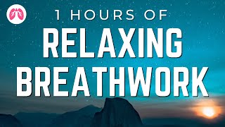 Breathing Exercises to Reduce Stress amp Anxiety  Slow Breathing Technique  TAKE A DEEP BREATH [upl. by Inirt638]