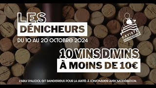 Les Dénicheurs 10 vins divins à moins de 10 € avec Le Petit Gascoun [upl. by Trinidad]