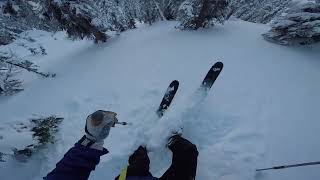 Ski Touring  Secret Stash in Kootenay Pass with my Siberian Husky [upl. by Naujtna]